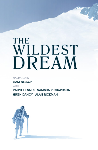 essay about wildest dream